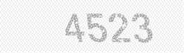 Visual security code — type the characters shown in the image