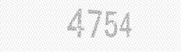 Visual security code — type the characters shown in the image