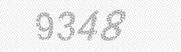 Visual security code — type the characters shown in the image